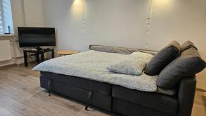 a bedroom with a bed with pillows and a television at Draugyste Apartment in Šiauliai +21 photos