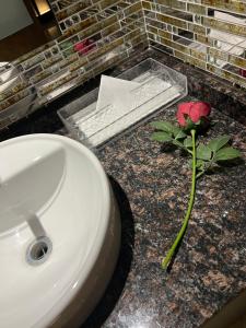 a bathroom sink with a rose on a counter at ホテルコスタリゾート飯能 in Hannō +19 photos