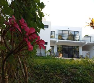 Zahrada ubytování Casa BOSQUE LUCIERNAGAS