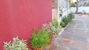 a red wall with potted plants next to a building at Golden Nest Home Stay in Mysore