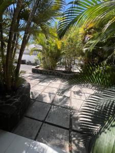 a walkway with palm trees and plants on a sidewalk at Appartement Baobab 2 in Pereybere +5 photos