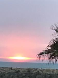 - un coucher de soleil sur la plage avec un palmier dans l'établissement Les pieds dans l'eau, à Valras-Plage