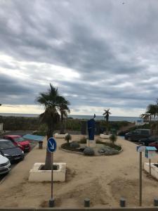 - un parking avec des voitures garées et des palmiers dans l'établissement Les pieds dans l'eau, à Valras-Plage