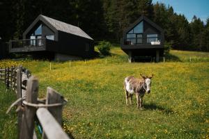 Állatok a szállodában vagy a közelben