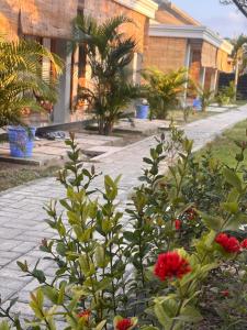 Zahrada ubytování Qwank Kuta Lombok