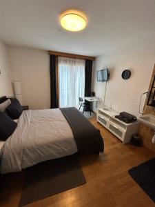 TV a/nebo společenská místnost v ubytování Hotel Thurpark