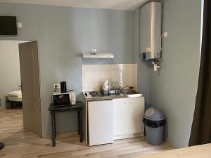 a small kitchen with a sink and a microwave at Résidences saint pierre in Lourdes +72 photos