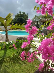 Bazén v ubytování Mediterranean Boutique Hotel nebo v jeho okolí + 12 fotografií