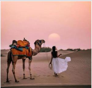 入住The Golden Sand Resort&Camp的客人