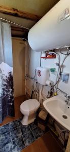 a bathroom with a toilet and a sink at Вила Орцево Vila Ortsevo in Ortsevo +99 photos