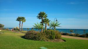 a park with palm trees and the ocean in the background at Las Salinas in Estepona