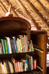 a book shelf filled with lots of books at Yolitia Wellness in Malinalco