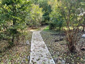 卡舍尔The Cottage Greenacre House, Carrow, Dualla, Cashel, County Tipperary E25T672的林中树木的路径 更多2张照片