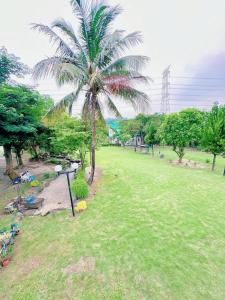 Vrt ispred objekta 晨曦山莊 晨曦紅瓦厝國民旅遊卡特約商店Sunshino farmstead