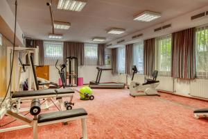 Fitness centrum a/nebo fitness zařízení v ubytování Hotel Erika