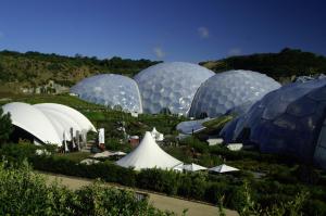 a group of domes in a field with trees at Tehidy Holiday Park in Illogan