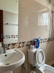 a bathroom with a sink and a toilet and a mirror at beautifully furnished one bedroom apartment in vok off nyali road in Mombasa