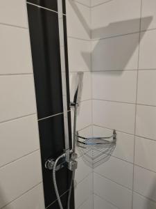 a shower with a glass door in a bathroom at Ferienwohnung Ostseeblick am Breitling Whg 5 in Malchow