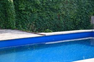een zwembad naast een groene heg bij Altos de Brochero Cabañas & Padel in Villa Cura Brochero