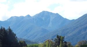 uma vista para uma serra com árvores no primeiro plano em Okuti Cottage by Tiny Away em Wairau Valley