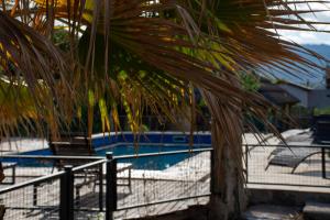 een palmboom voor een zwembad bij Altos de Brochero Cabañas & Padel in Villa Cura Brochero +29 foto's