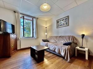 Μια τηλεόραση ή/και κέντρο ψυχαγωγίας στο Appartement Montagne : 2 Pces, 4 Couchages, Jardin, Animaux OK, Navette et Commerce Proches - FR-1-330F-211