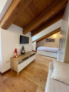 TV a/nebo společenská místnost v ubytování Nest in Alagna