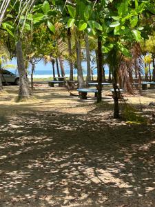 a park with trees and benches on the beach at Apartamento Colibri in Parrita