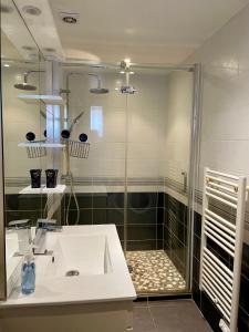 Phòng tắm tại Séjour en Camargue