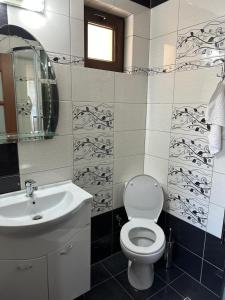 a bathroom with a toilet and a sink and a mirror at Pensiunea Maria in Hunedoara