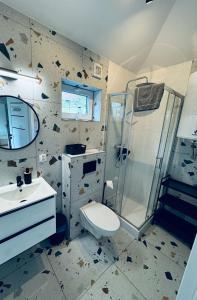 a bathroom with a toilet and a shower at Domki pod Krakowem - Stare Sady in Kopytówka +85 photos