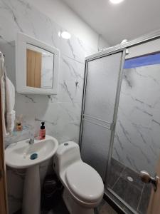 a bathroom with a toilet and a sink and a shower at Apartahotel- Alojamiento Familiar- Apartamentos Privados Kira in Buenavista