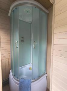 a shower with a glass door in a bathroom at Na Hutori in Tatariv +32 photos