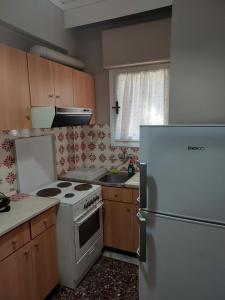 a kitchen with a white stove and a refrigerator at Spyros Studio in Paleo Tsifliki