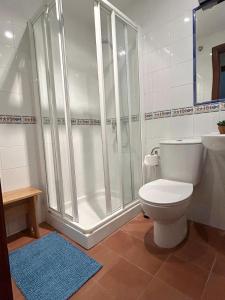 a bathroom with a shower and a white toilet at Apartamento Galeguiña in Vigo