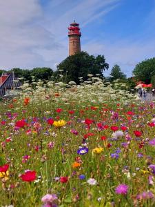 Afbeelding uit fotogalerij van Fewo unter der Kühlung in Bastorf