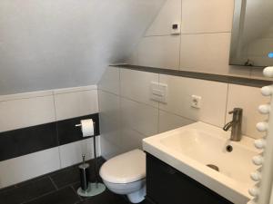 Un baño con un inodoro blanco y un lavabo. en Auf Feiningers Spuren durch das Mönchgut Apartment 1, en Lobbe