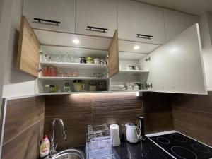 Apartman Dora的厨房或小厨房