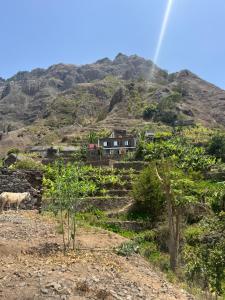 a house on the side of a mountain at Casa Branca in Ponta do Sol