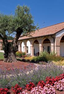 Photo de la galerie de l'établissement Annia Park Hotel Venice Airport, à Tessera