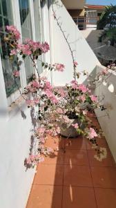 Κήπος έξω από το Little Jasmine by the River