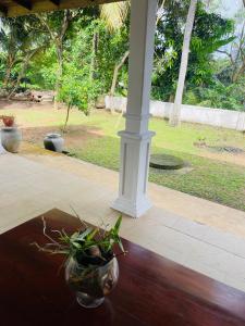 Κήπος έξω από το Lake Side Bliss