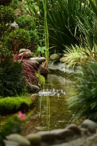 Fotografie z fotogalerie ubytování Las Cumbre Hotel & Spa Termal v destinaci Quetzaltenango