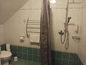 Koupelna v ubytování Ubytování Iris