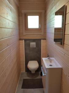 un piccolo bagno con un water e un lavandino di Chalet des platanes Entre l'Alsace et les Vosges Nature a La Grande Fosse Altre 26 foto