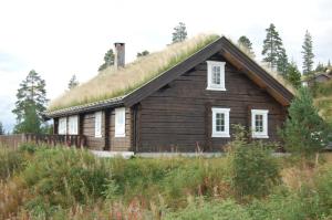 una casa con techo de hierba en la cima de una colina en Coazy cabin with sauna, en Trysil