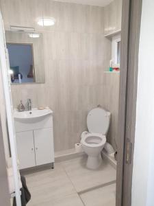 Ένα μπάνιο στο Housing VaduCrisului casa GenySa +14 φωτογραφίες