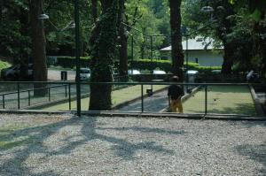 Foto dalla galleria di Ristorante Hotel Falchetto a Brunate