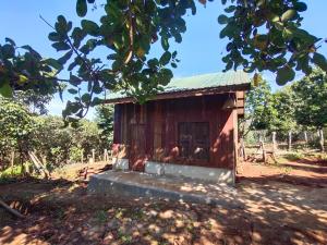 Zahrada ubytování Tree Trails Homestay & Offers Jungle Trekk-Scooter For Rental