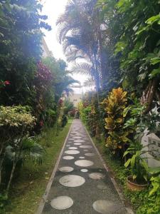 a path in a garden with palm trees and plants at Cómoda habitación independiente Miraflores in Lima
